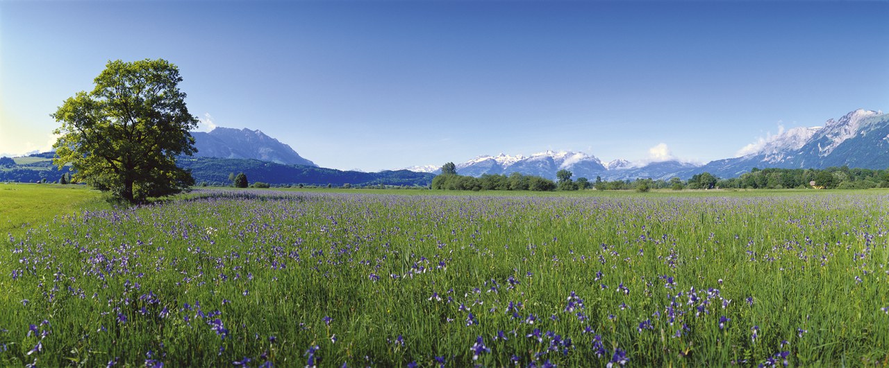 Liechtenstein Workshop of Sustainable Finance