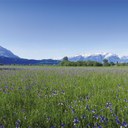 Liechtenstein Workshop of Sustainable Finance