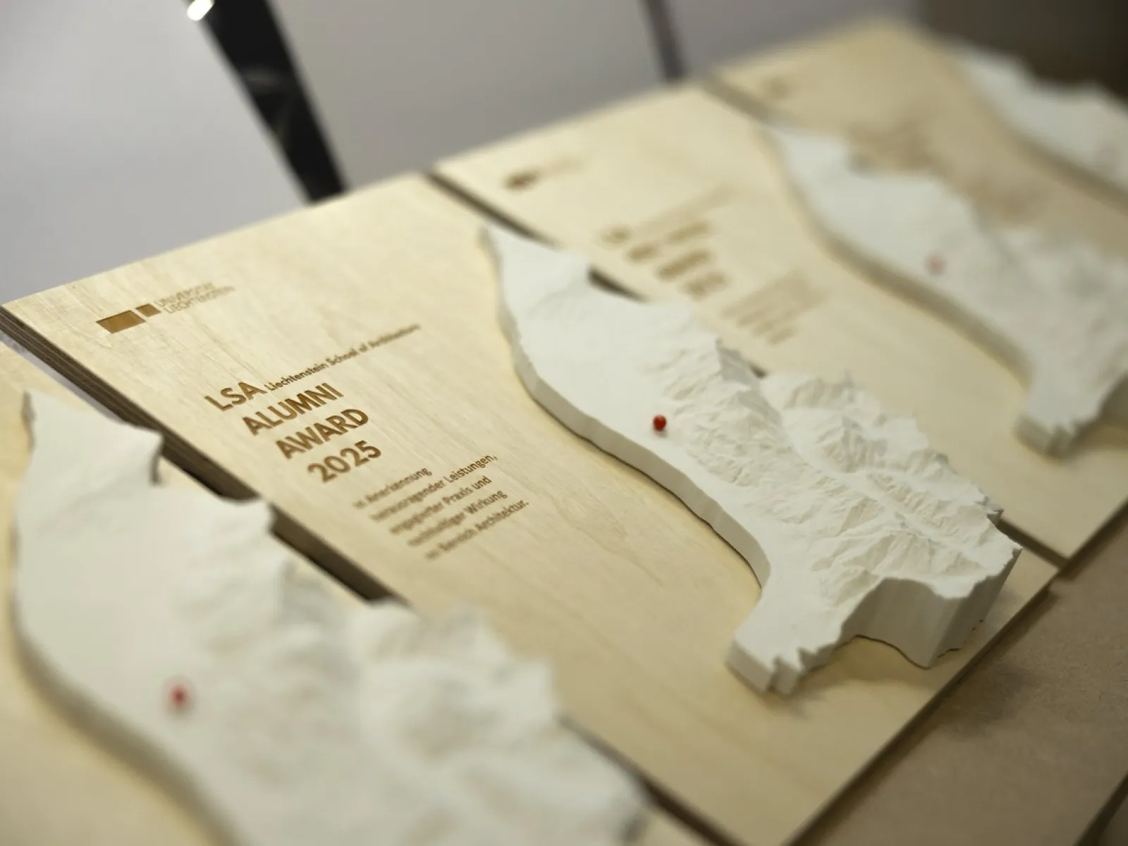 Nahaufnahme von Holztafeln mit 3D-Reliefs und der Aufschrift "LSA Alumni Award 2025". Die Tafeln sind Teil einer Preisverleihung der Liechtenstein School of Architecture.