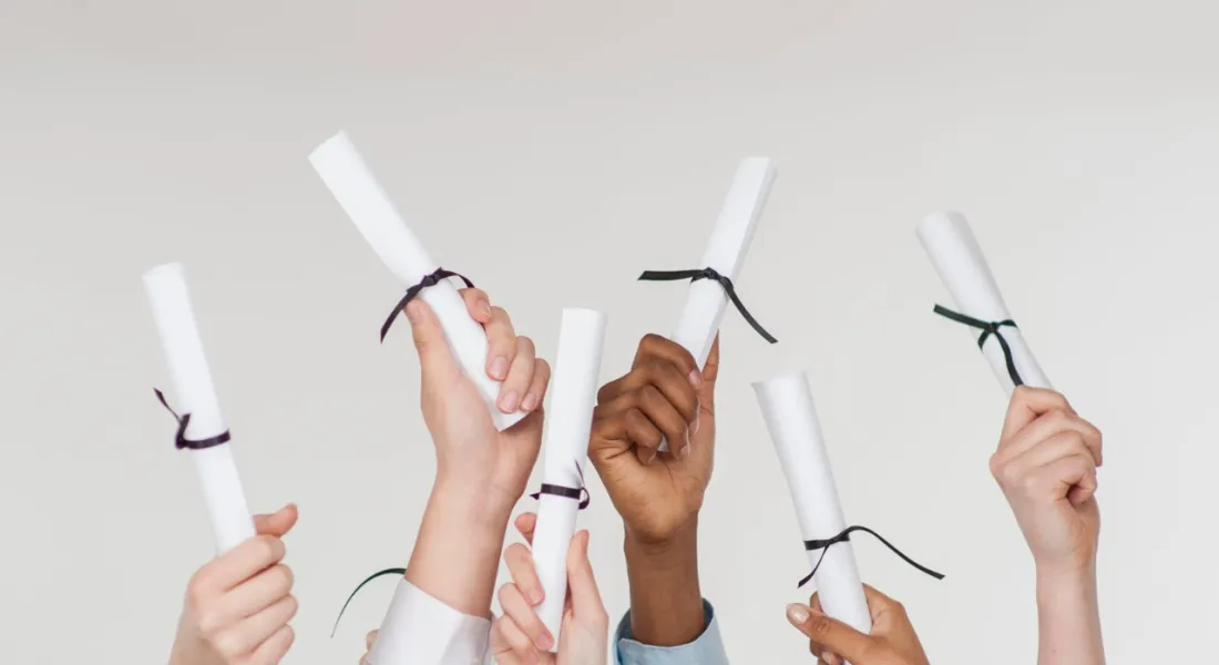 Diplom-und Zertifikatsstudiengange