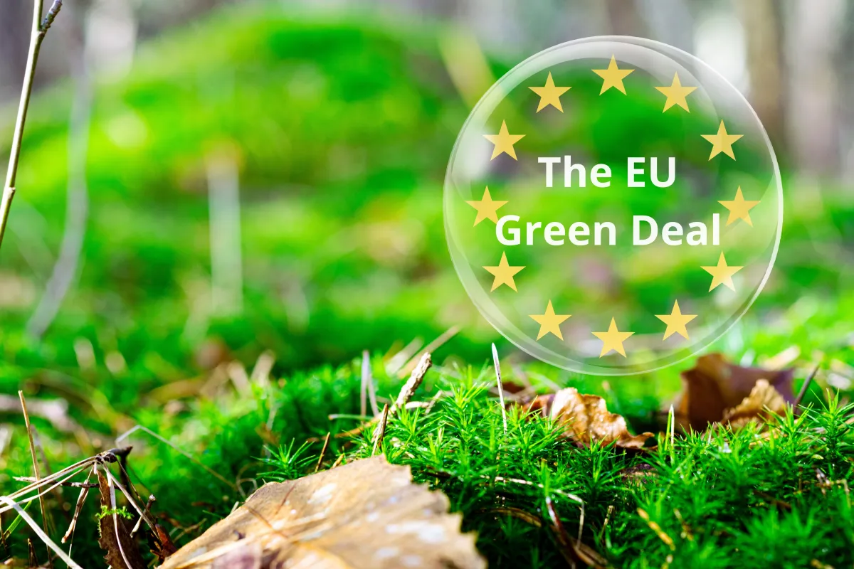 Blog_Denkraum_Green Deal_Universitaet-Liechtenstein