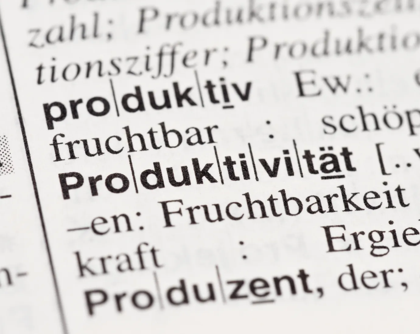 Blog_Denkraum_Produktivitaet_Leo-Brecht_Universitaet-Liechtenstein