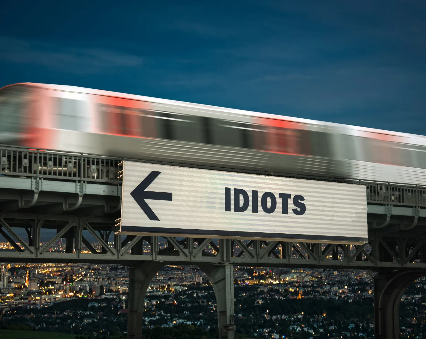 Blog_Denkraum_Idiot_Universitaet-Liechtenstein