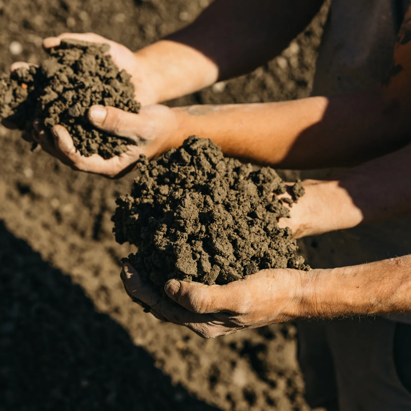 Architektur_Lehm-als-Aushubmaterial-und-Baumaterial-des-earth-HUB-der-Liechtenstein-School-of-Architecture