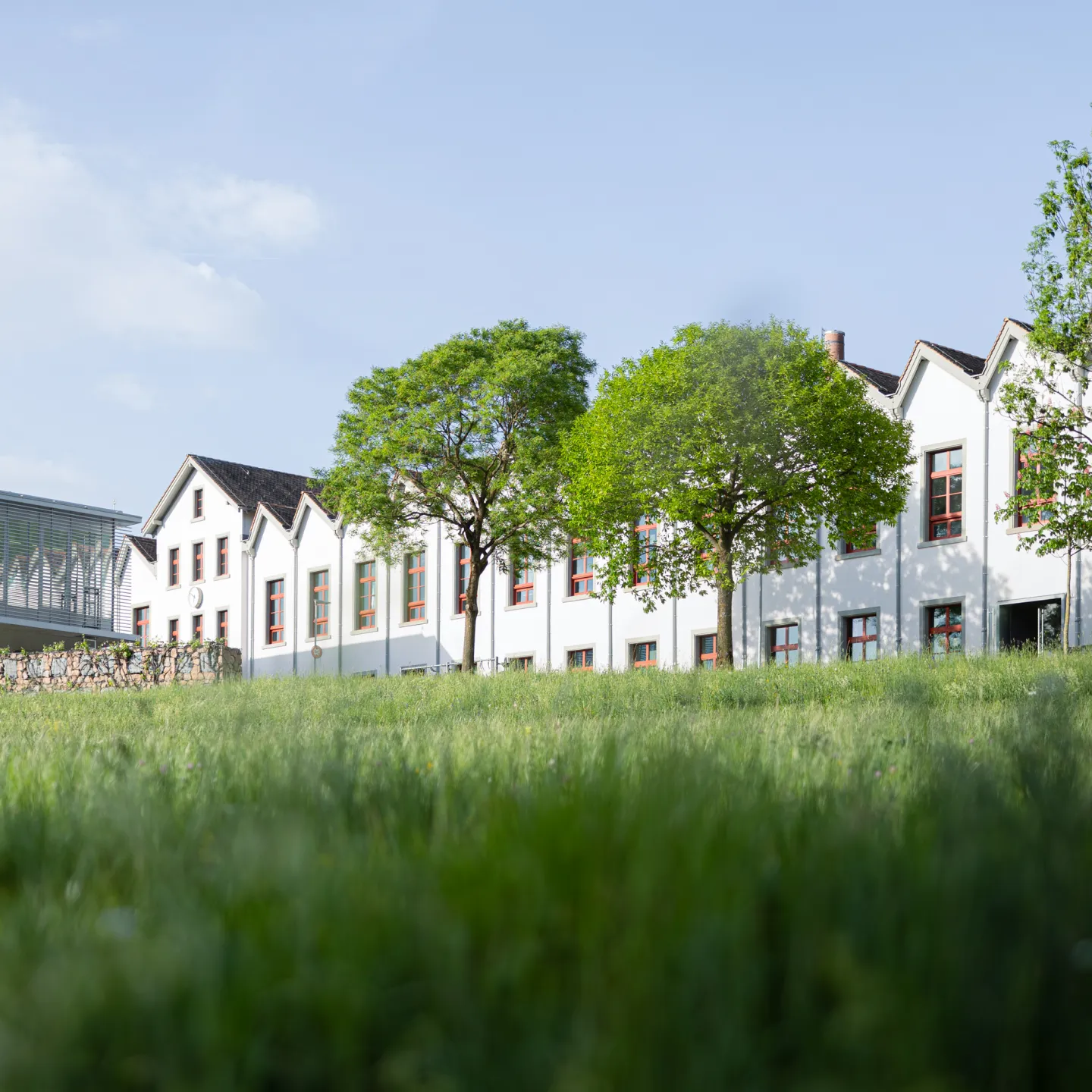 Universitaet Liechtenstein Gebaeude mit weissem Mauerwerk und gruener Wiese im Vordergrund.
