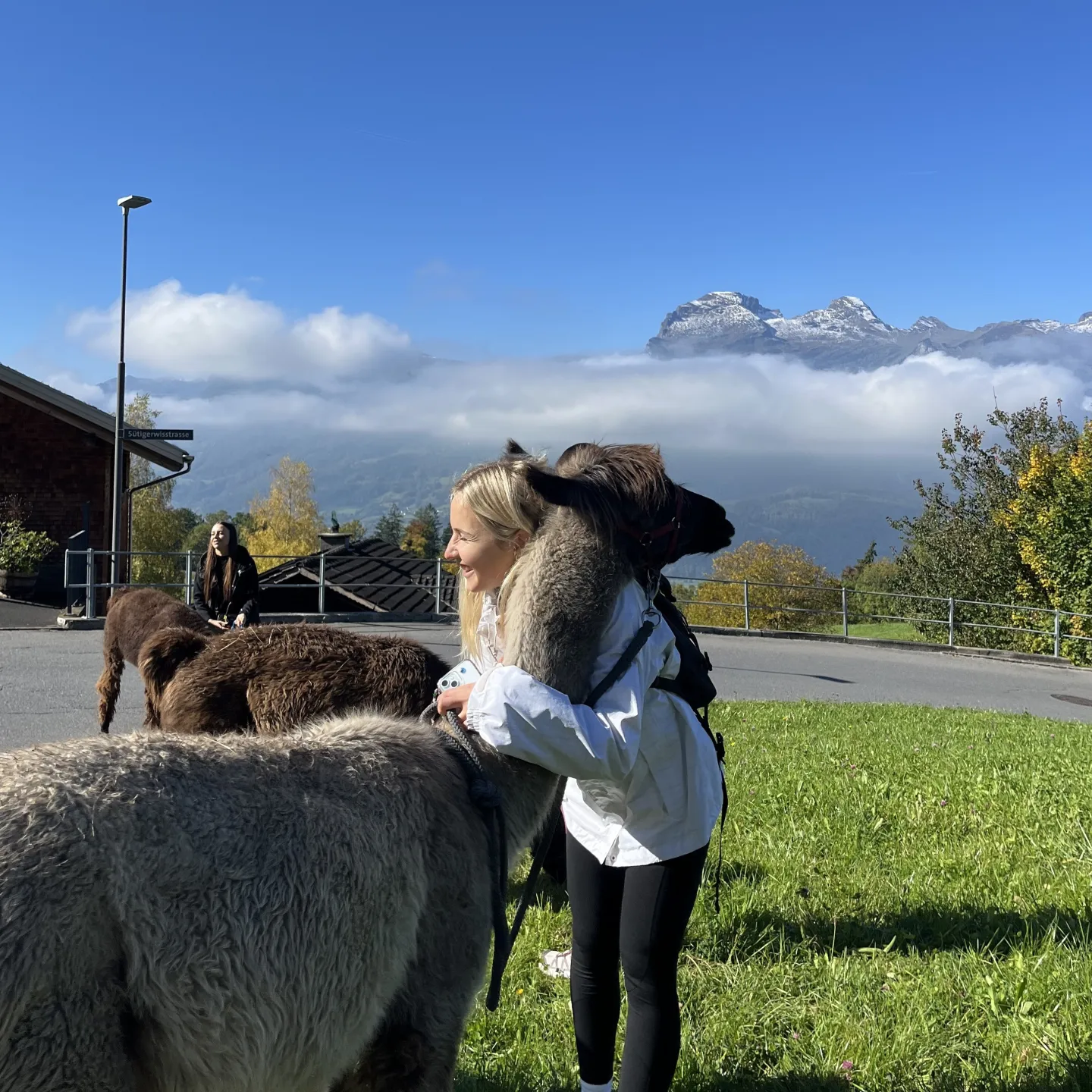 Ein Mädchen umarmt ein Alpaka