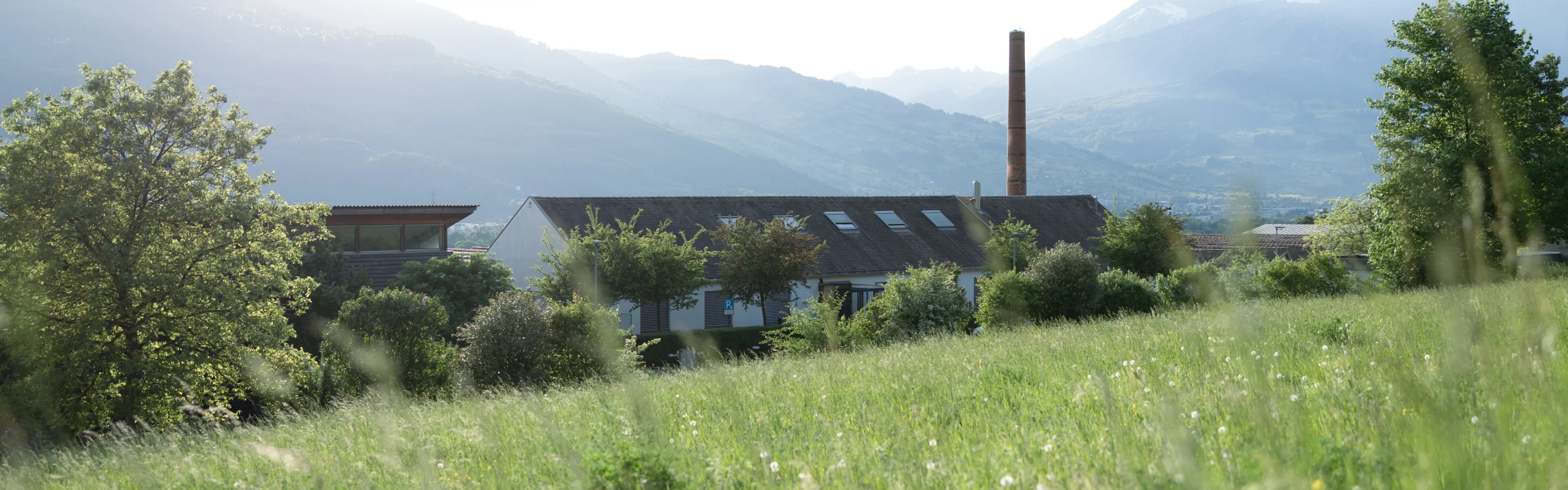 Blick ueber eine Blumenwiese auf den Campus der Universitaet Liechtenstein mit Schornstein und umgebender Berglandschaft.