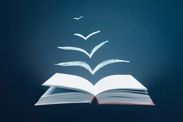 Geöffnetes Buch mit stilisierten fliegenden Seiten in Form von Vögeln auf dunklem Hintergrund, Symbol für Bildung und Freiheit.