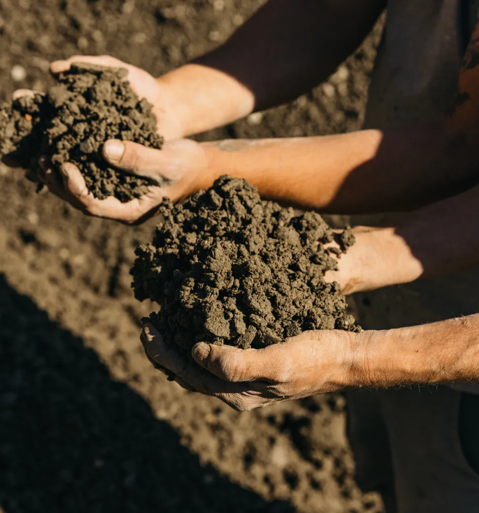 Architektur_Lehm-als-Aushubmaterial-und-Baumaterial-des-earth-HUB-der-Liechtenstein-School-of-Architecture